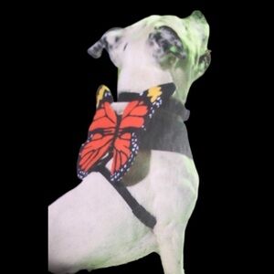 NWT pupperfly butterfly wings harness costume L​
